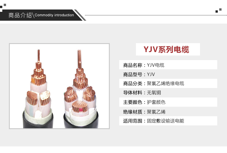 YJV22聚乙烯铠装电缆(图2)