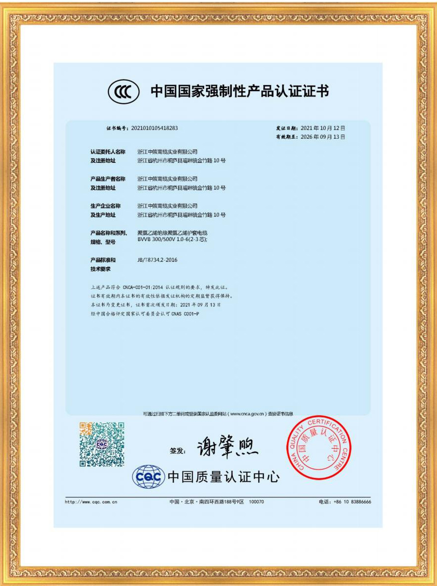 浙江中策南缆实业资质证书202205版1(1)_12.jpg